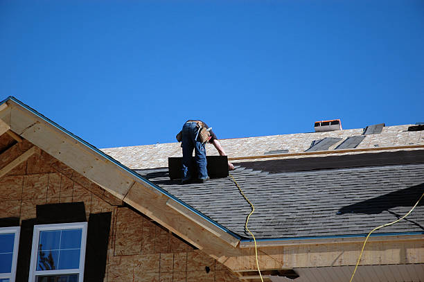Best Flat Roof Repair Services  in Fort Branch, IN