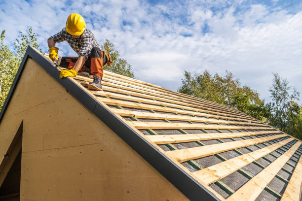 Best Roof Gutter Cleaning  in Fort Branch, IN
