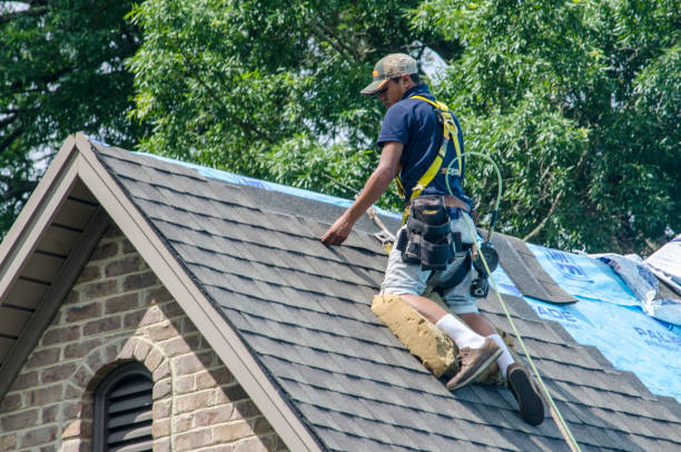 Best Roof Repair Services  in Fort Branch, IN